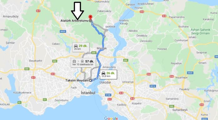 Atatürk Arboretumu Nasıl Gidilir? Atatürk Arboretumu Nasıl Gidilir?